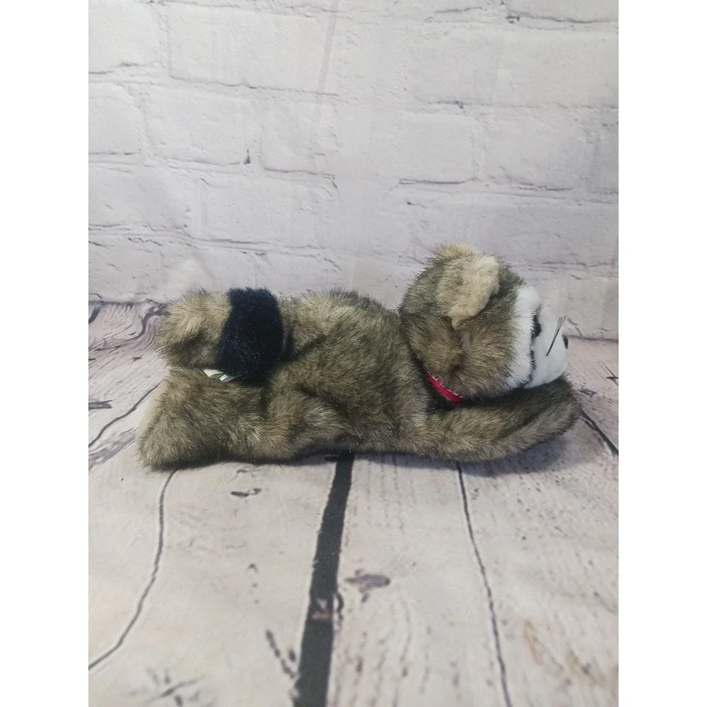 Wild Wonders Raccoon Plush Stuffed Animal 10